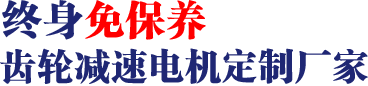 17年專注齒輪減速馬達(dá)、調(diào)速電機(jī)研發(fā)、生產(chǎn)